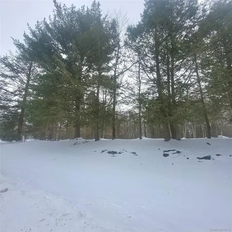 000 Roslyn Ridge Road Mongaup Valley NY 12720