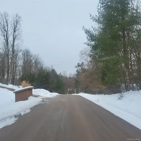 000 Roslyn Ridge Road Mongaup Valley NY 12720