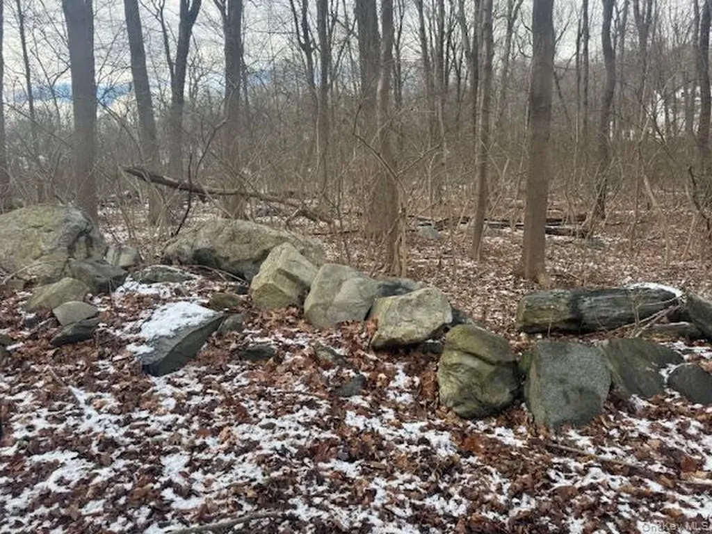 Lot 2 Eder Road Stormville NY 12582