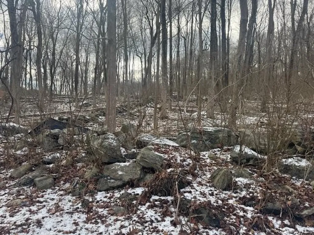 Lot 3 Eder Road Stormville NY 12582