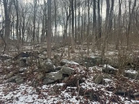 Lot 3 Eder Road Stormville NY 12582