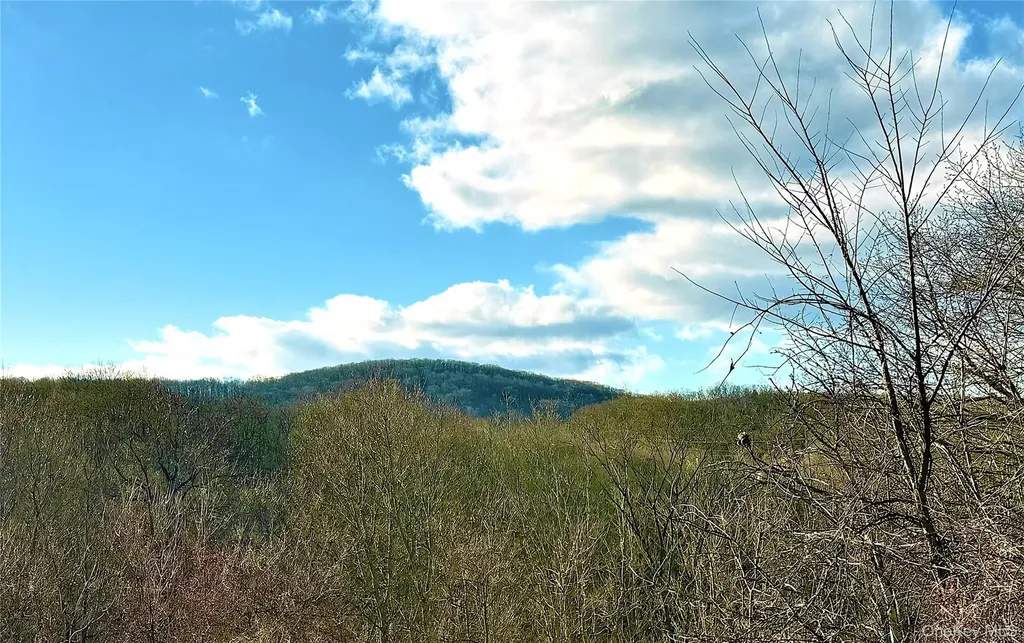 40 Walnut Street Pawling NY 12564
