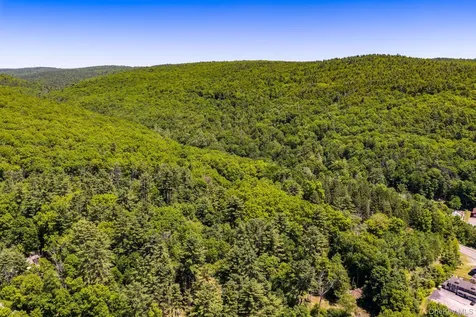 Lot 11.1 State Route 55 And Mail Road Barryville NY 12719