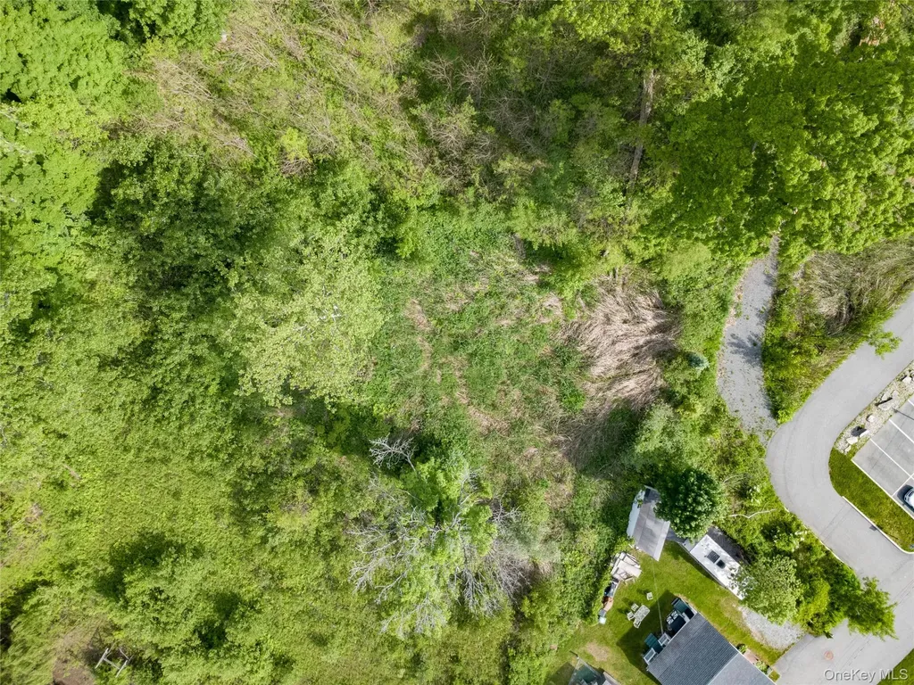 L5 Union Avenue Call Listing Agent NY 12866