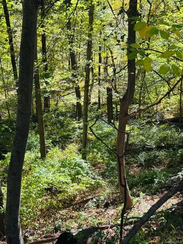 Lot 11 Shamrock Drive Putnam Valley NY 10579