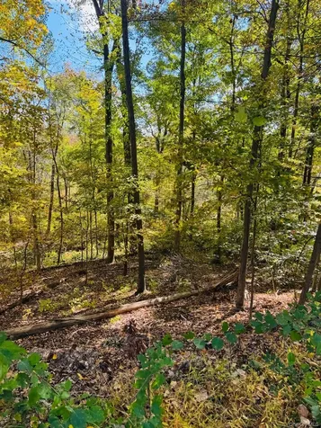 Lot 11 Shamrock Drive Putnam Valley NY 10579