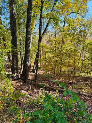 Lot 11 Shamrock Drive Putnam Valley NY 10579