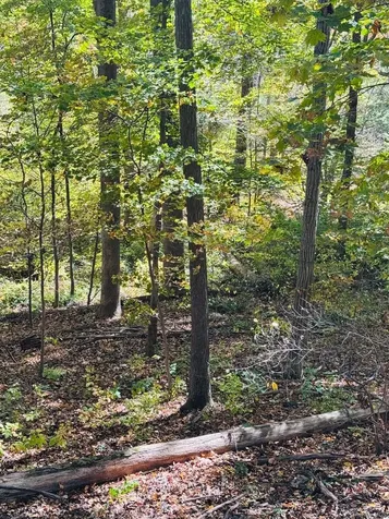 Lot 11 Shamrock Drive Putnam Valley NY 10579
