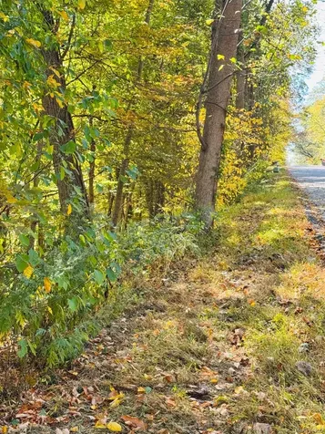 Lot 11 Shamrock Drive Putnam Valley NY 10579