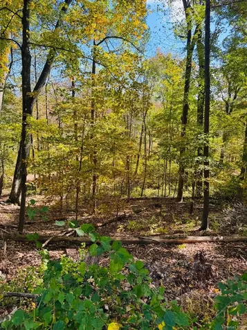 Lot 11 Shamrock Drive Putnam Valley NY 10579