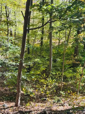 Lot 11 Shamrock Drive Putnam Valley NY 10579
