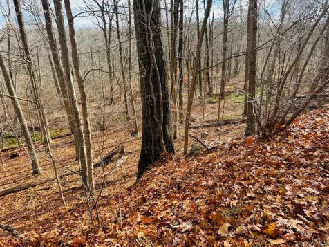 Lot 11 Shamrock Drive Putnam Valley NY 10579