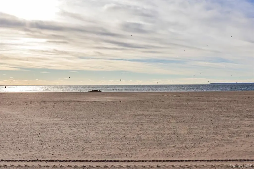 3101 Ocean Parkway Brooklyn NY 11235
