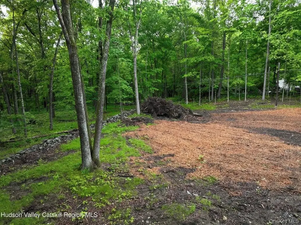 154 Forest Hill Drive Kingston NY 12401