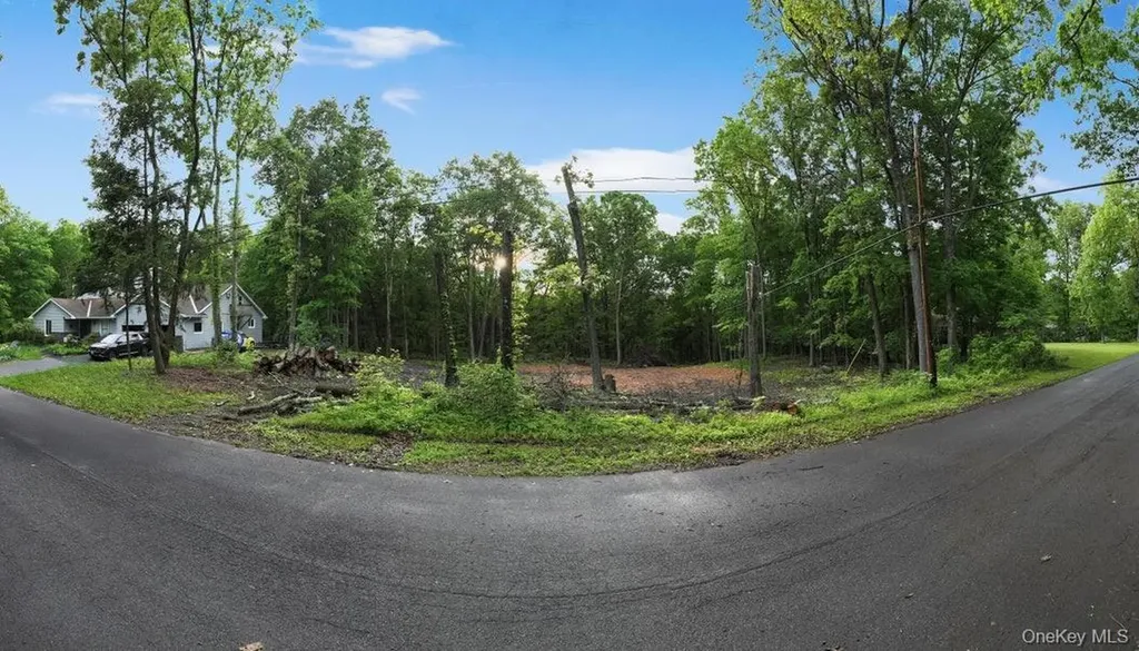 154 Forest Hill Drive Kingston NY 12401