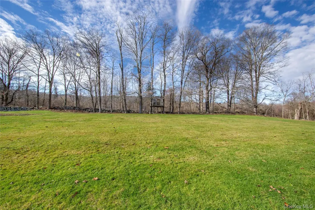 9 Caroline Drive Patterson NY 12563