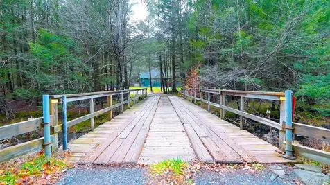102 Rider Hollow Road Arkville NY 12406