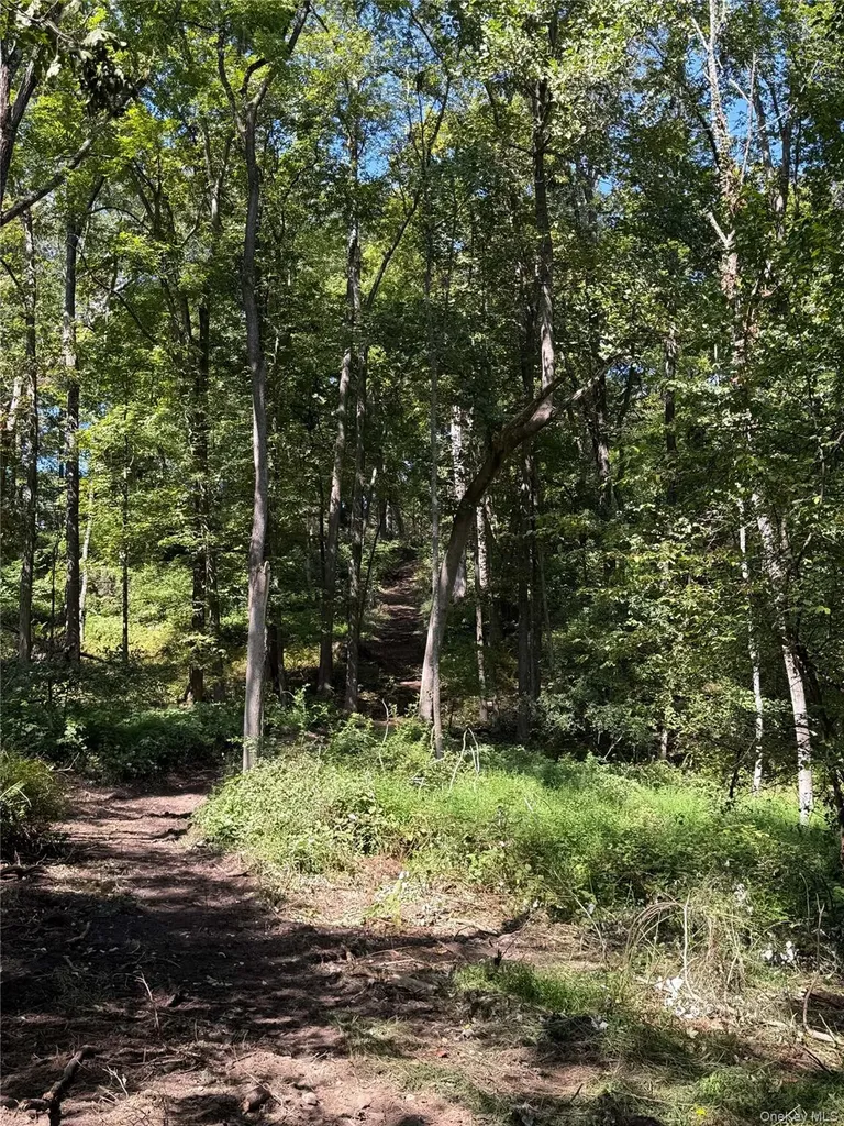 16 Almond Tree Lane Warwick NY 10990