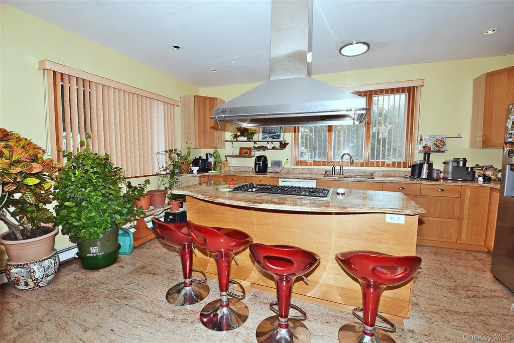 2 Aster Drive New Hyde Park NY 11040