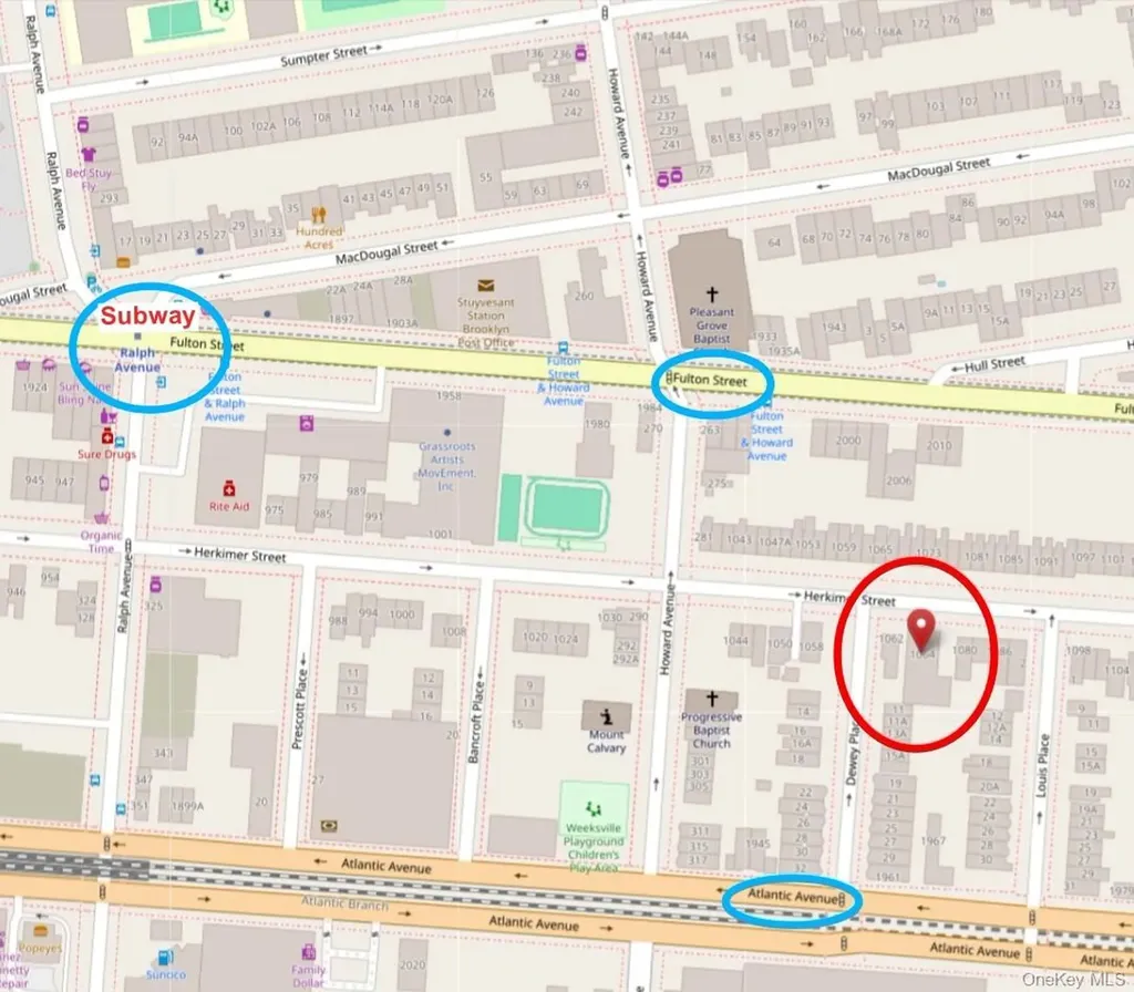 1064 Herkimer Street Brooklyn NY 11233