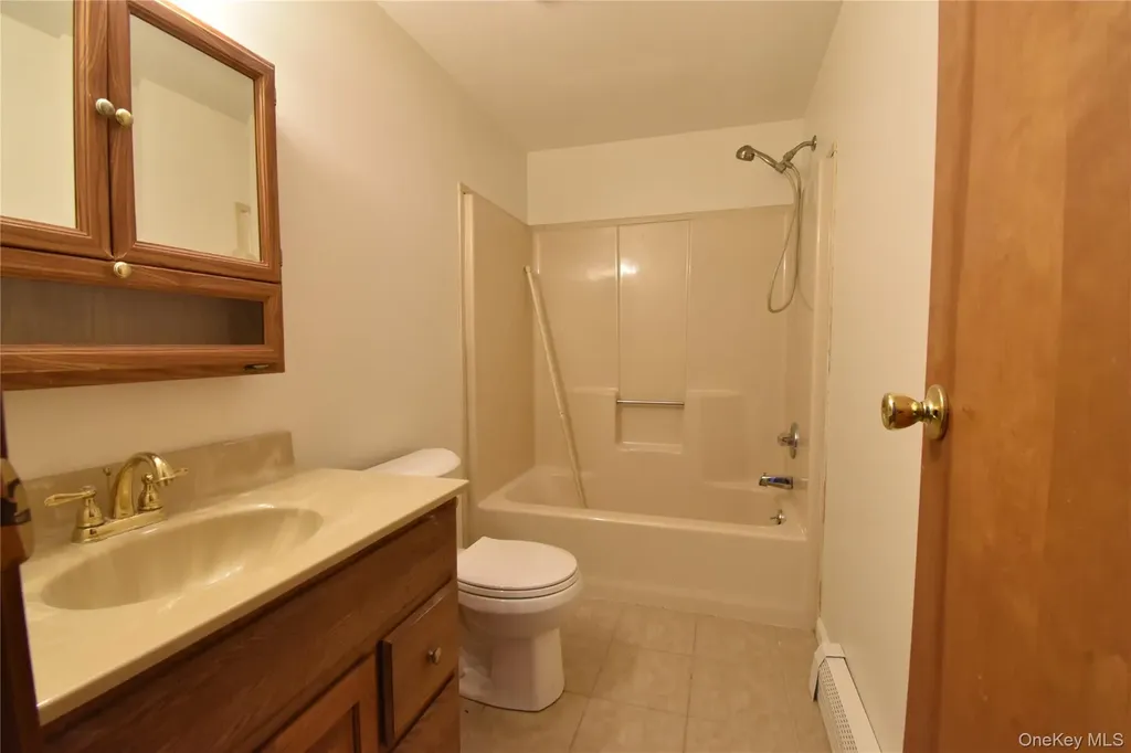 22 Winslow Place Liberty NY 12754