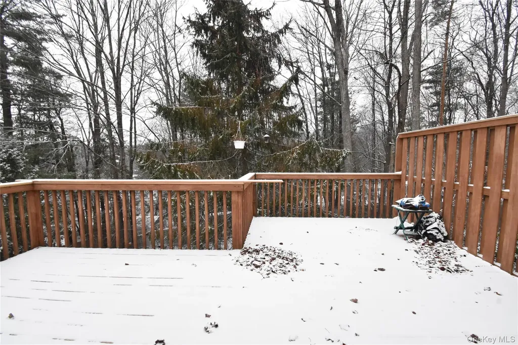 22 Winslow Place Liberty NY 12754