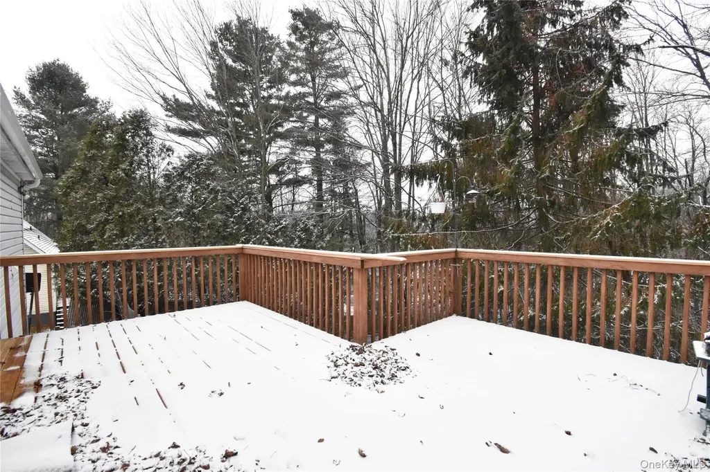 22 Winslow Place Liberty NY 12754