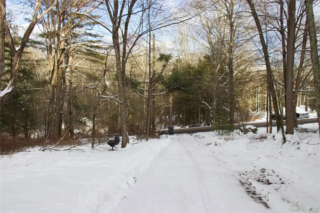 741 Peenpack Trail Sparrowbush NY 12780