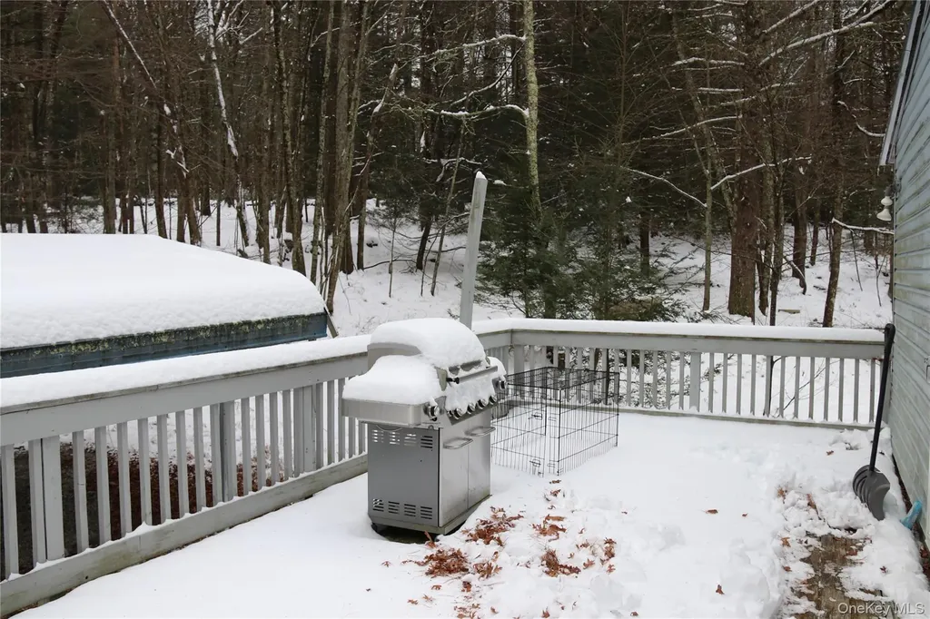 741 Peenpack Trail Sparrowbush NY 12780