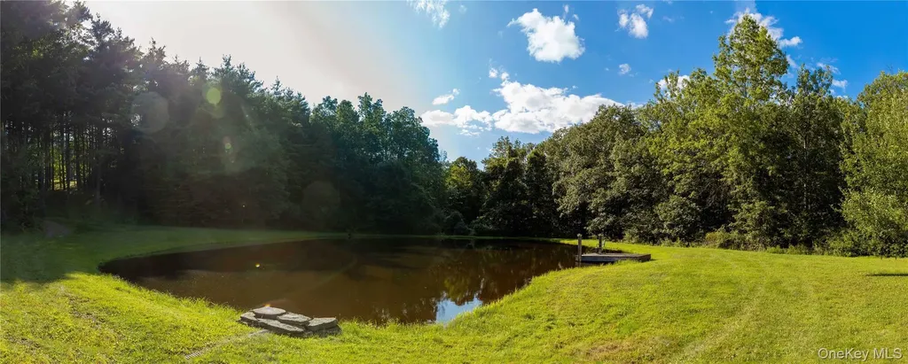 596 Joseph Chadderdon Road Cairo NY 12413
