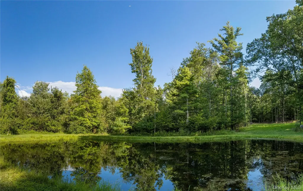 596 Joseph Chadderdon Road Cairo NY 12413