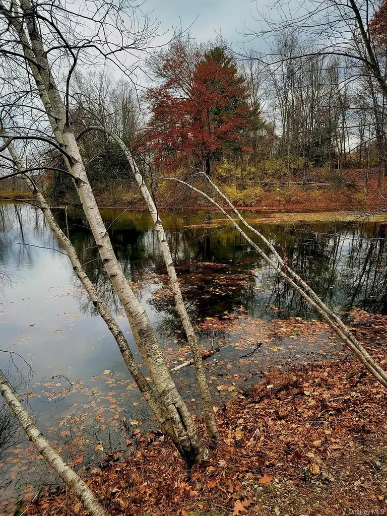 461 Route 199 Red Hook NY 12571