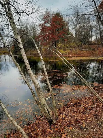 461 Route 199 Red Hook NY 12571
