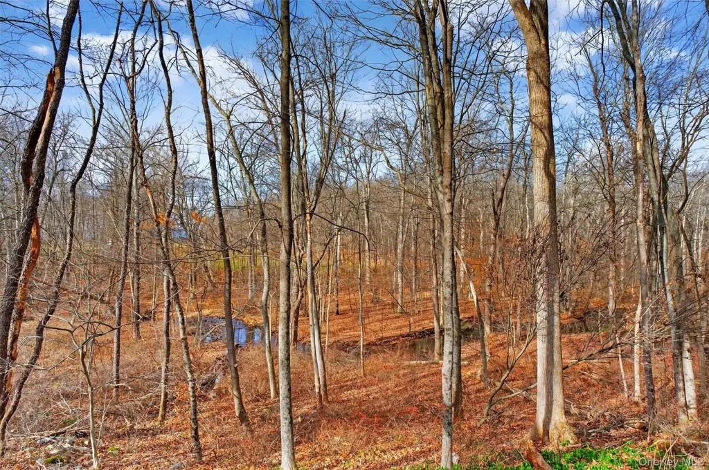 1360 State Route 208 Wallkill NY 12589