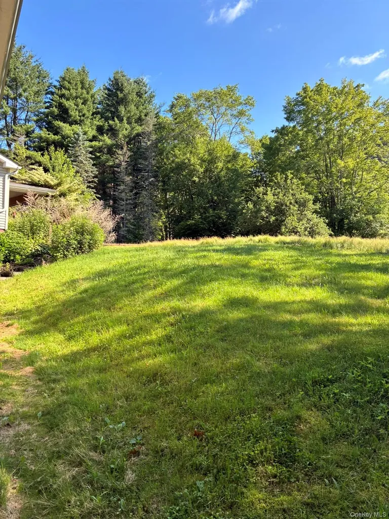 1140 Harvard Road East Branch NY 13756