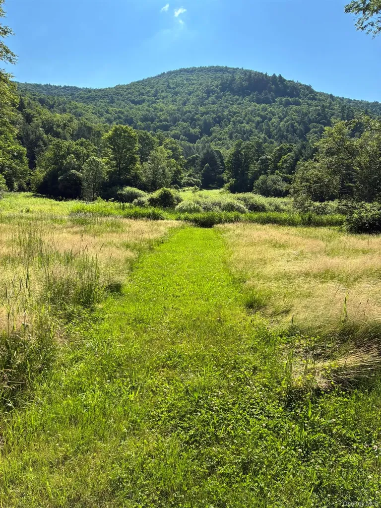 1140 Harvard Road East Branch NY 13756