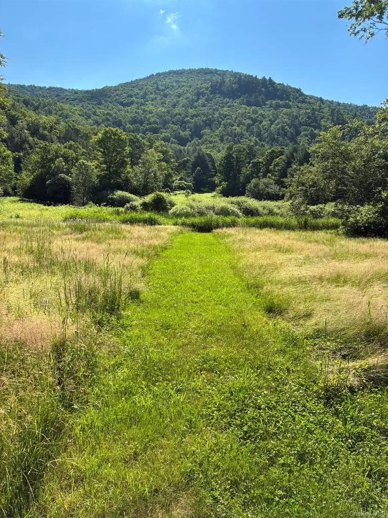 1140 Harvard Road East Branch NY 13756