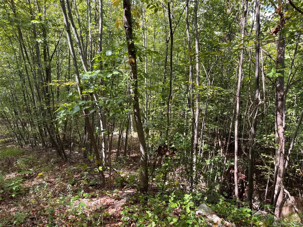 31 Ridgecrest Road Lake Peekskill NY 10537