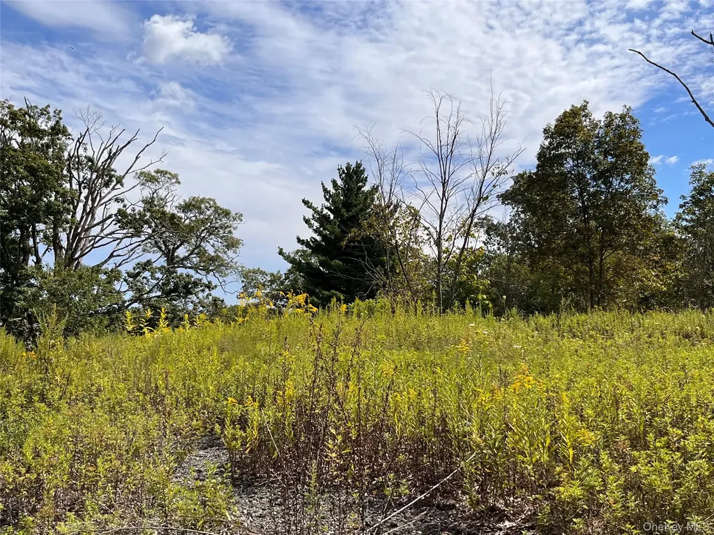 31 Ridgecrest Road Lake Peekskill NY 10537