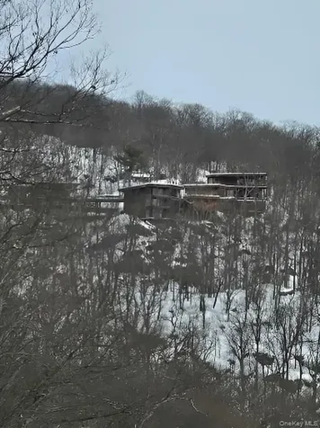 60 Woods Road Tuxedo Park NY 10987