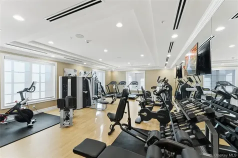 5000 Royal Court North Hills NY 11040