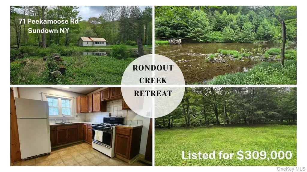 71 Peekamoose Road Sundown NY 12740