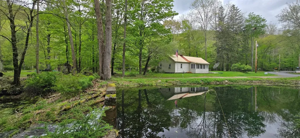 71 Peekamoose Road Sundown NY 12740
