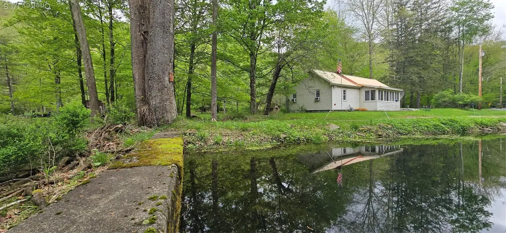 71 Peekamoose Road Sundown NY 12740