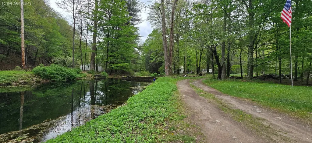 71 Peekamoose Road Sundown NY 12740