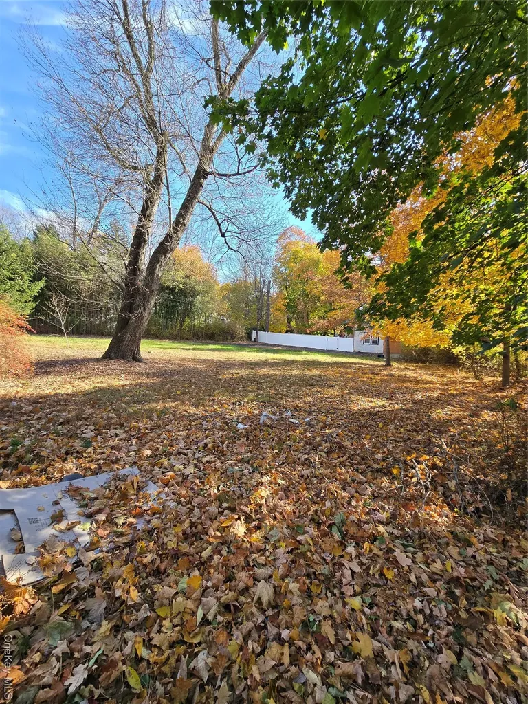 63 Viola Road Montebello NY 10901
