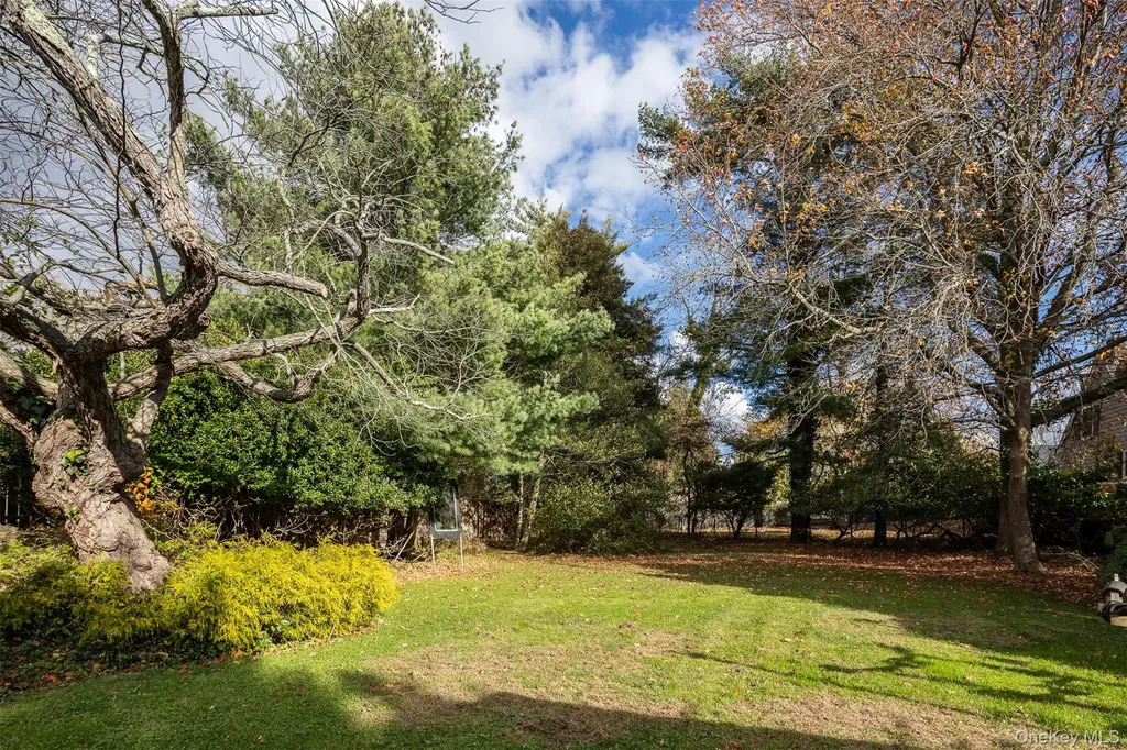 109 Bailey Avenue Patchogue NY 11772