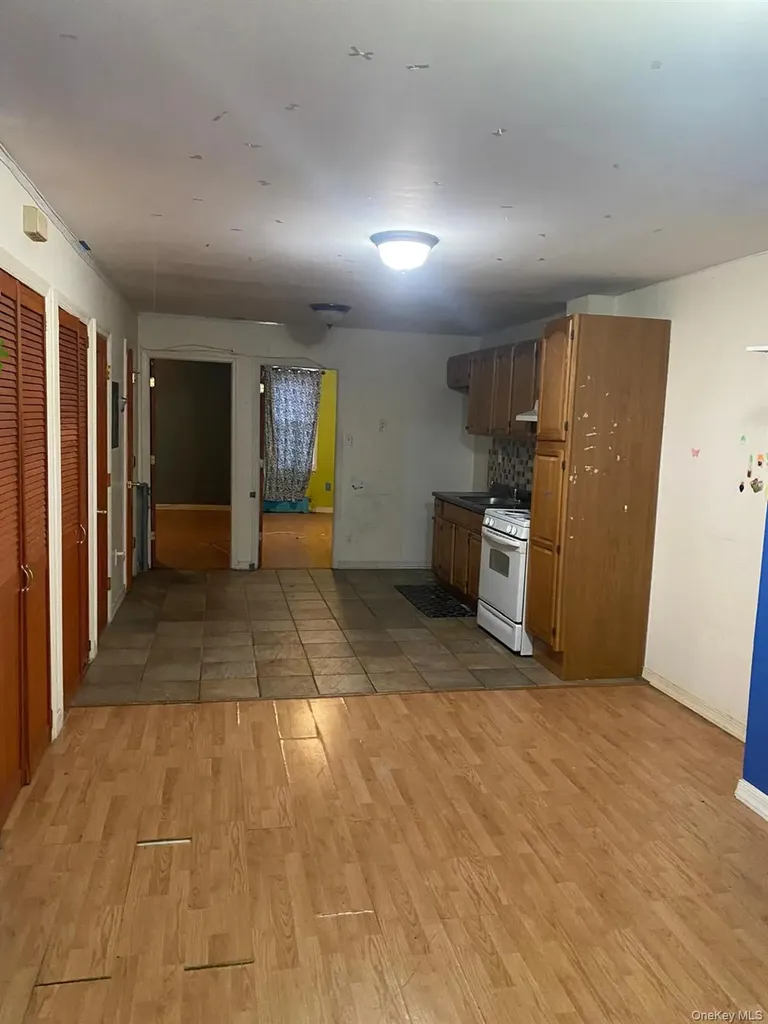 1351 Prospect Place Brooklyn NY 11213