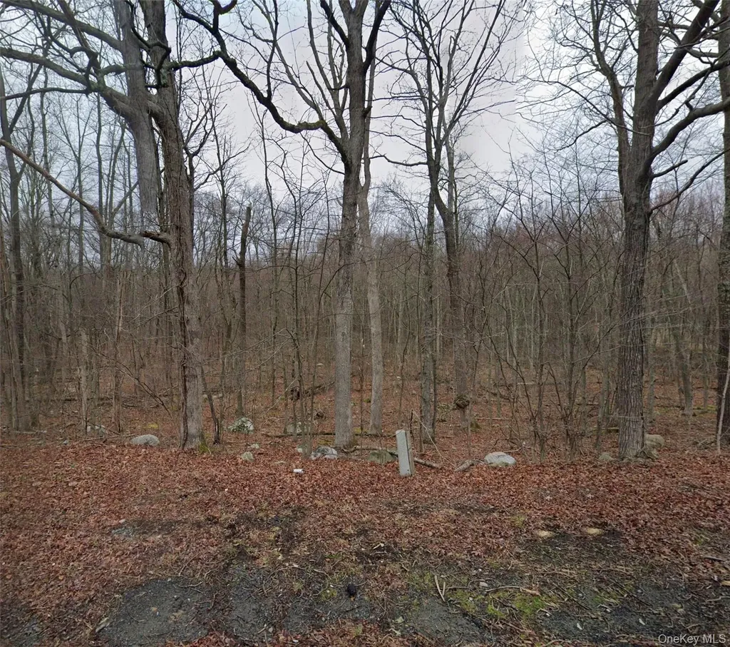 CR-49 Middletown NY 10940