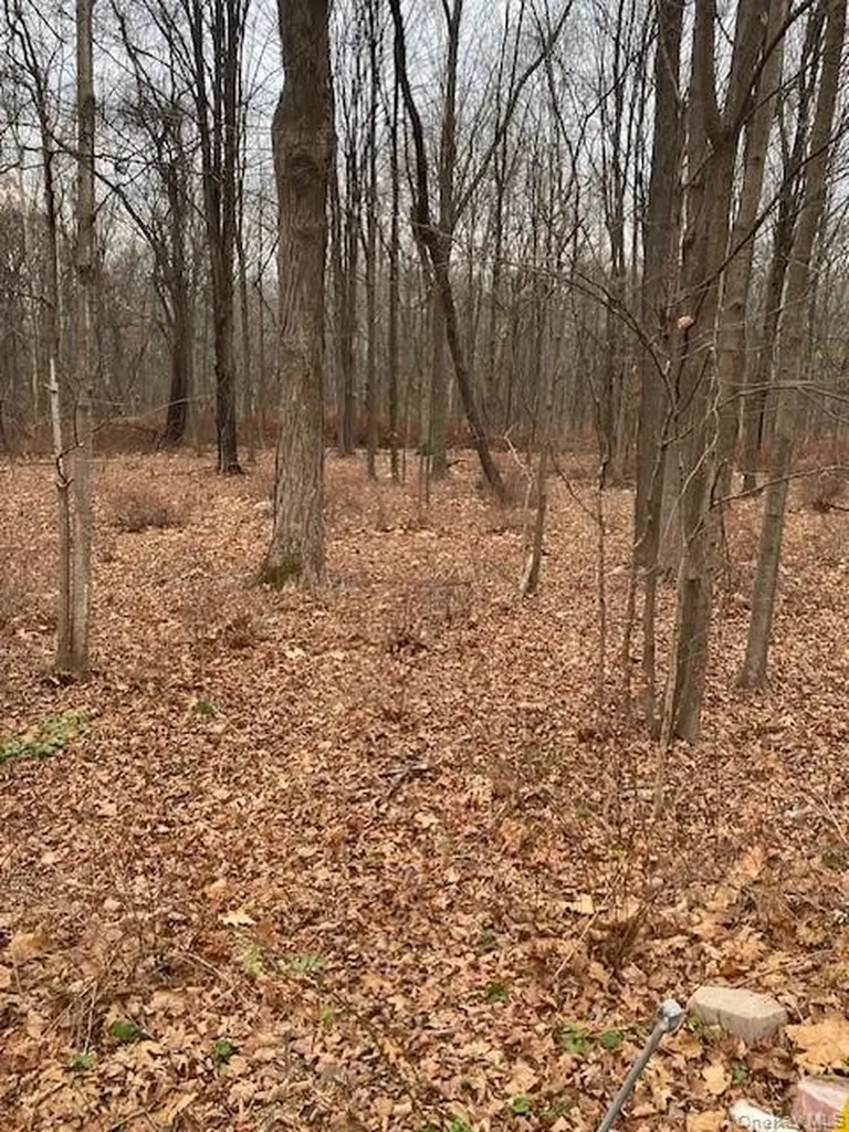 546 S Plank Road Westtown NY 10998